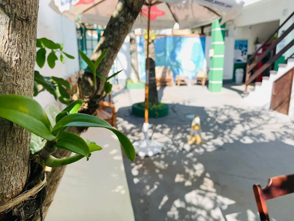 Pousada Arraial Caribe أرايال دو كابو 2*,