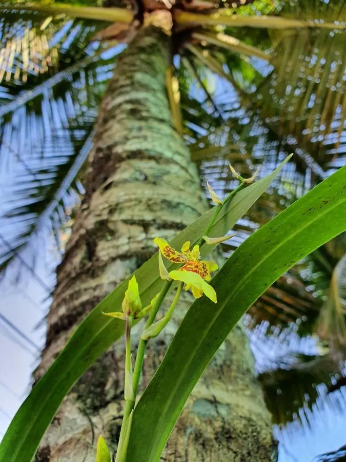 بيت ريفي Pousada Arraial Caribe أرايال دو كابو